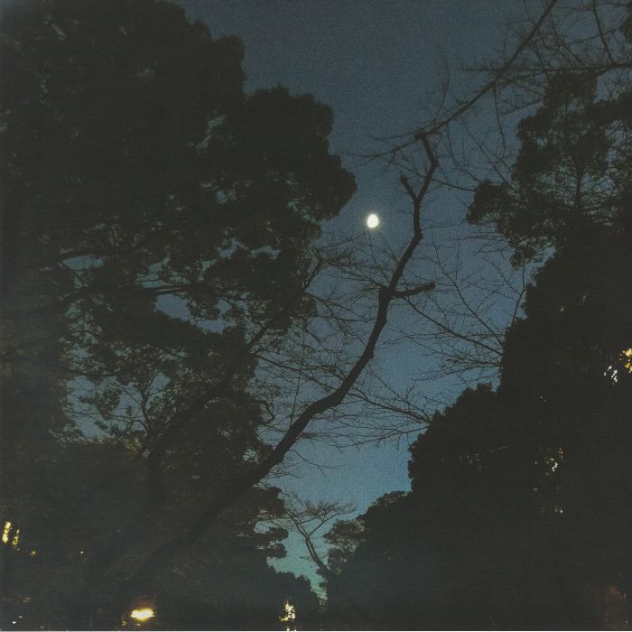 James Blackshaw – Fractures On The Horizon vinyl cover