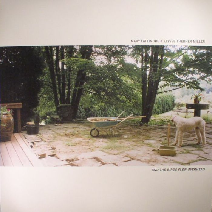 Mary Lattimore and Elysse Thebner Miller And The Birds Flew Overhead