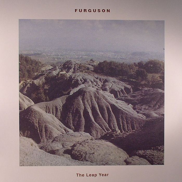 Furguson The Leap Year