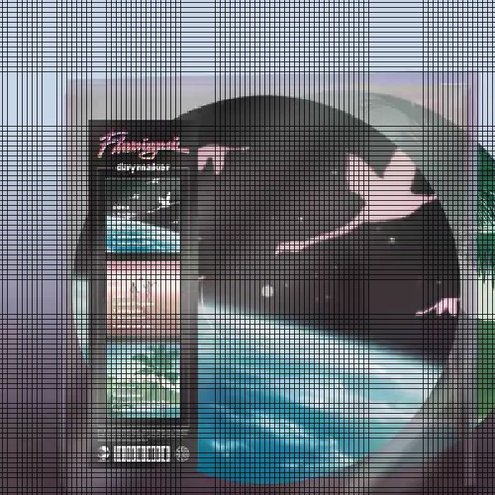 Flamingosis – Daymaker vinyl cover