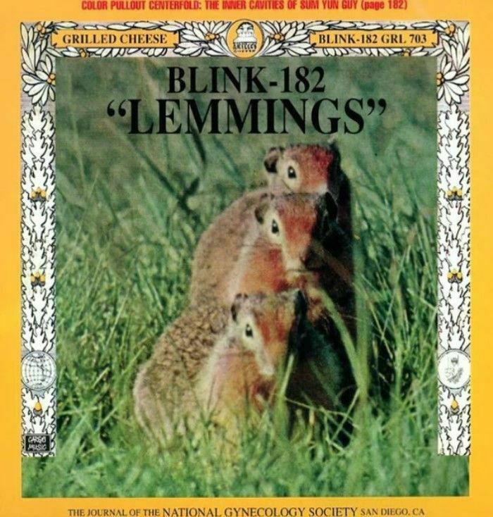 Blink 182 | Swindle Lemmings