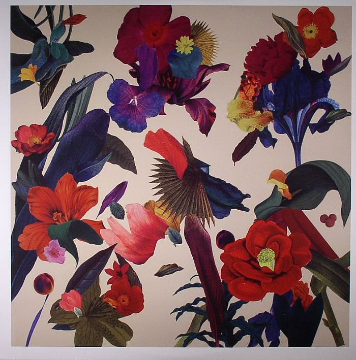 Washed Out – Paracosm vinyl cover