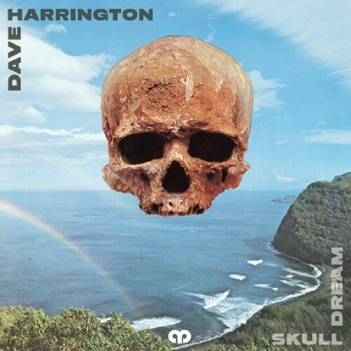 Dave Harrington Skull Dream