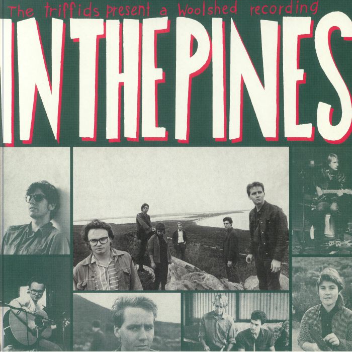 The Triffids In The Pines