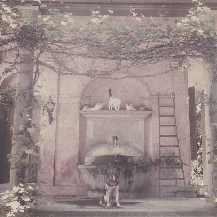 The Dues | Restock Cat/Dog