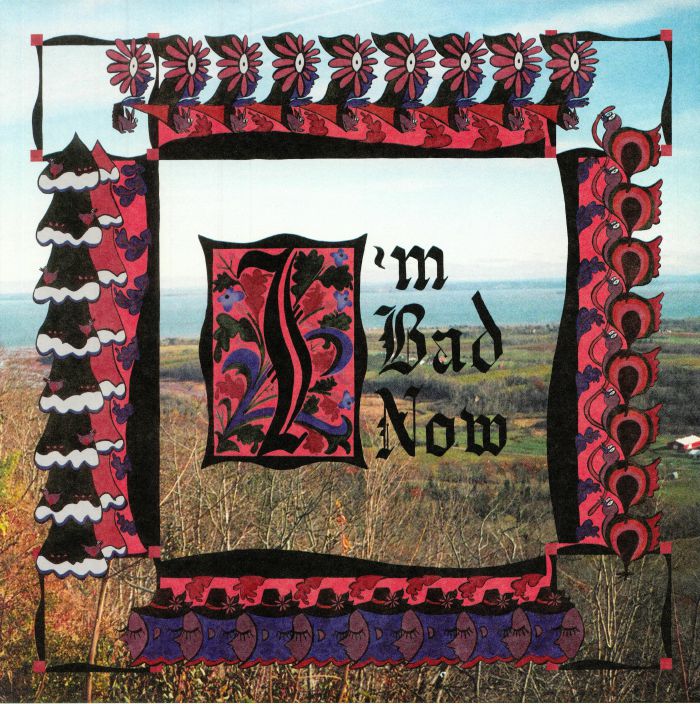 Nap Eyes – Im Bad Now vinyl cover