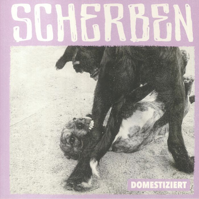 Scherben Domestiziert