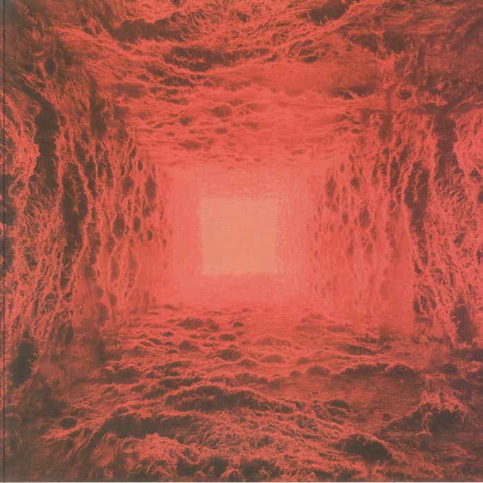 Haunted Plasma – I vinyl cover