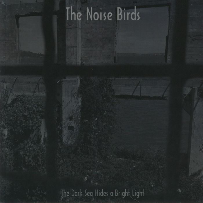 The Noise Birds Vinyl