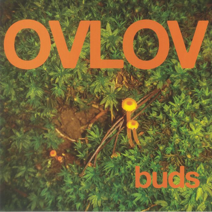 Ovlov – Buds vinyl cover