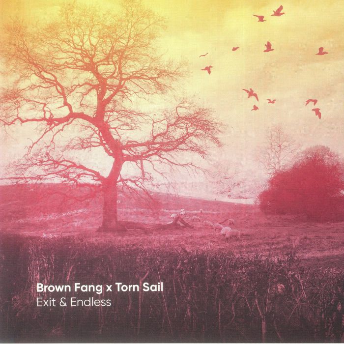 Brown Fang | Torn Sail Exit and Endless