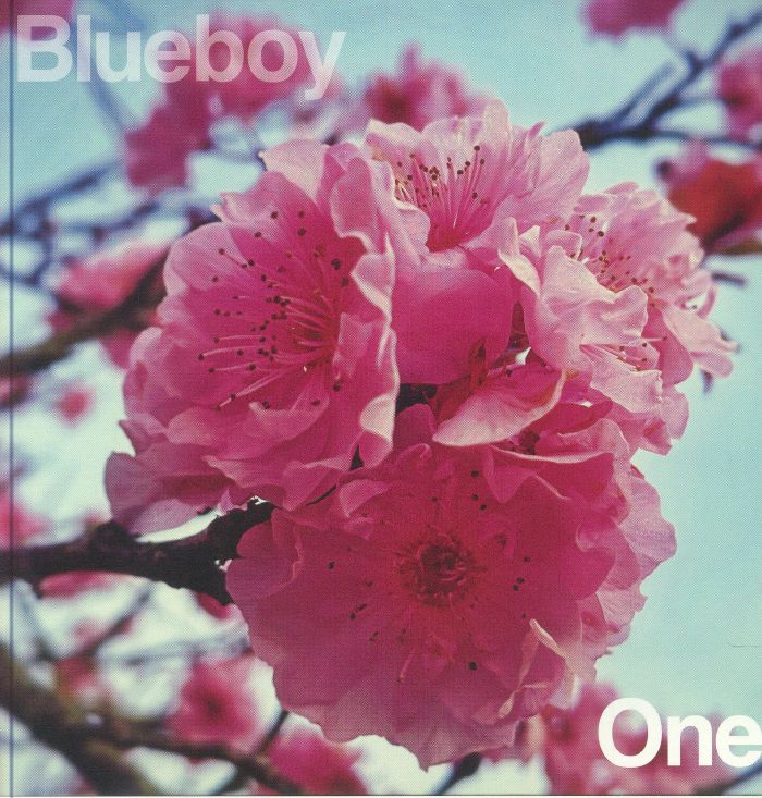 Blueboy One