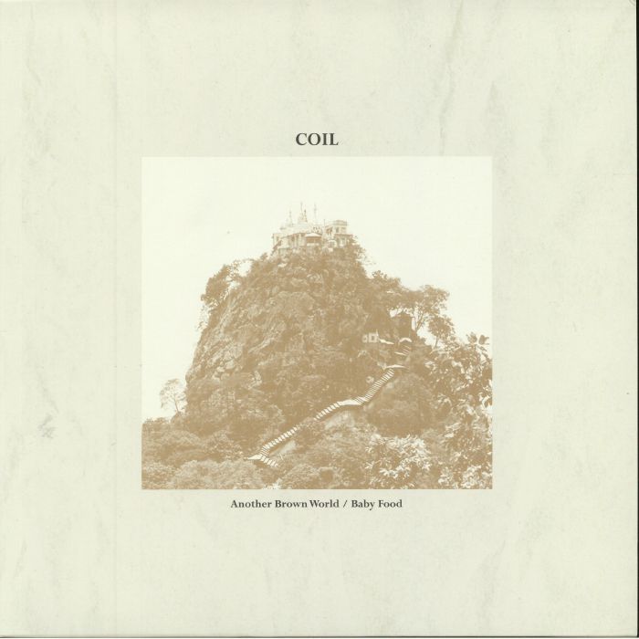 Coil – Another Brown World/Baby Food vinyl cover