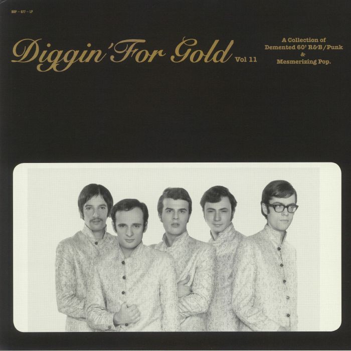 Various Artists Diggin For Gold Vol 11