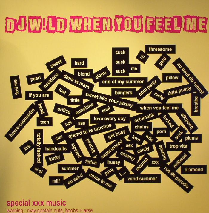 DJ Wild – When You Feel Me Part 2 vinyl cover