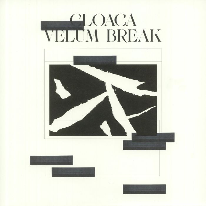 Velum Break Cloaca