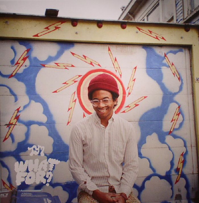 Toro Y Moi What For (Deluxe Edition)
