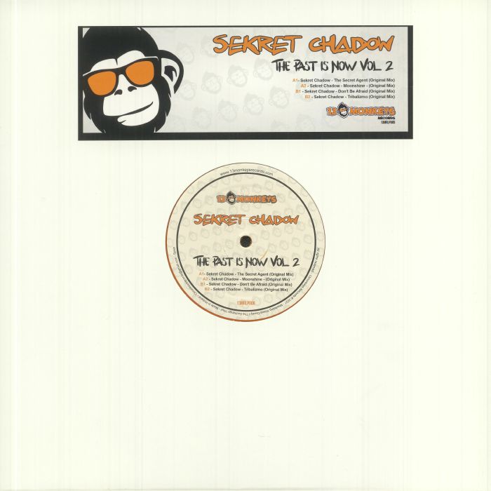Sekret Chadow – The Past Is Now Vol 2 vinyl cover
