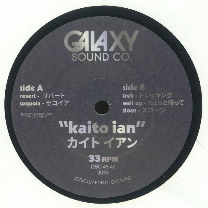 Galaxy Sound Co Vinyl