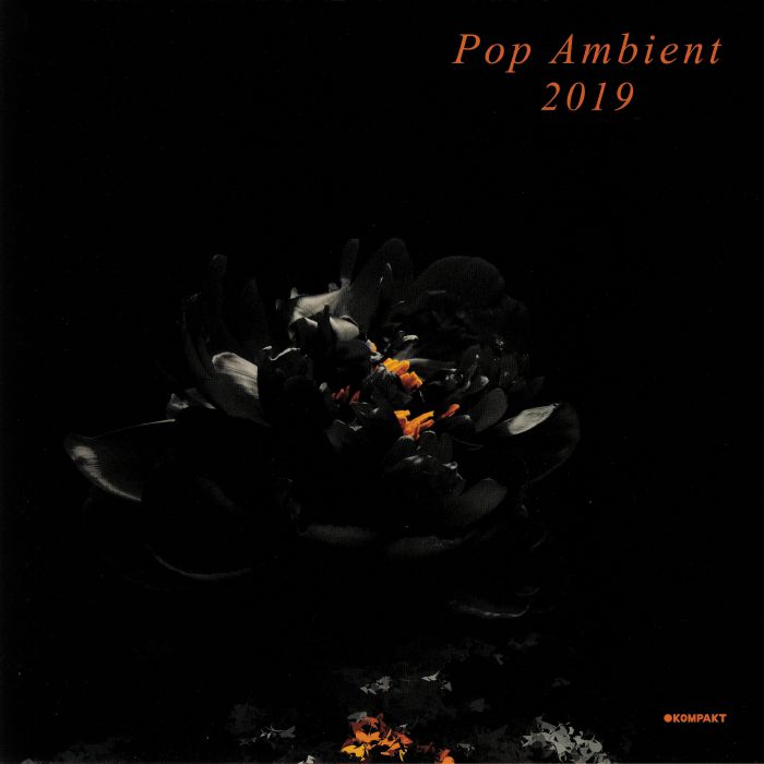 Various Artists Pop Ambient 2019