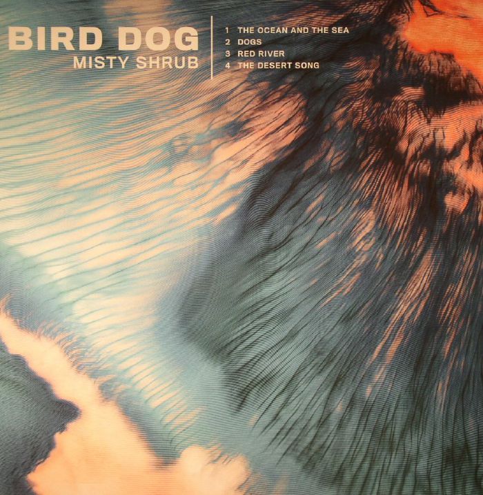 Bird Dog Misty Shrub