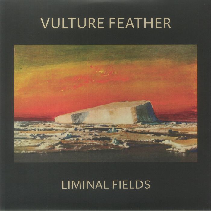Vulture Feather Liminal Fields