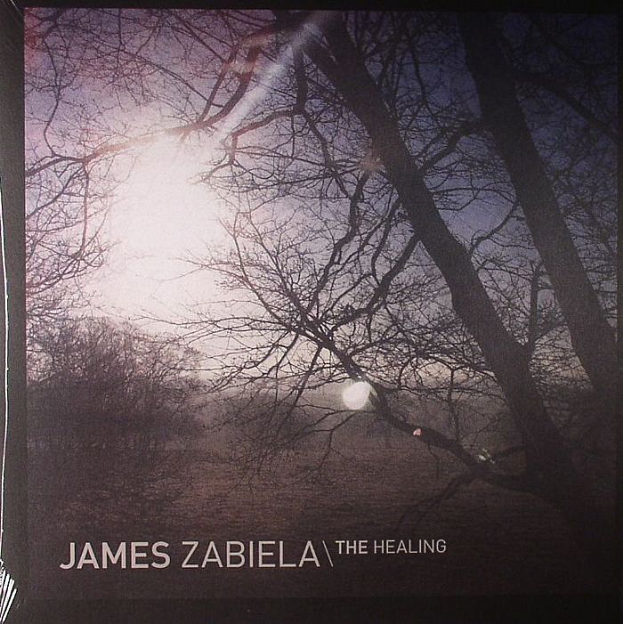 James Zabiela The Healing