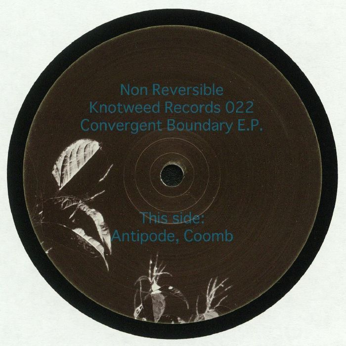 Non Reversible Convergent Boundary EP