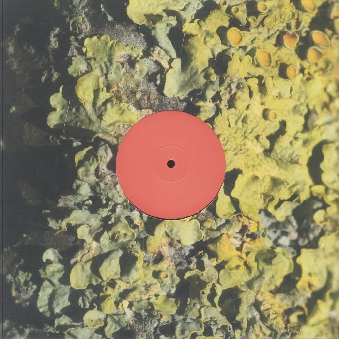 Sa Pa – The Fool vinyl cover