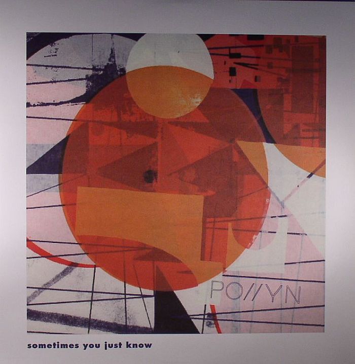 Pollyn – Sometimes You Just Know vinyl cover