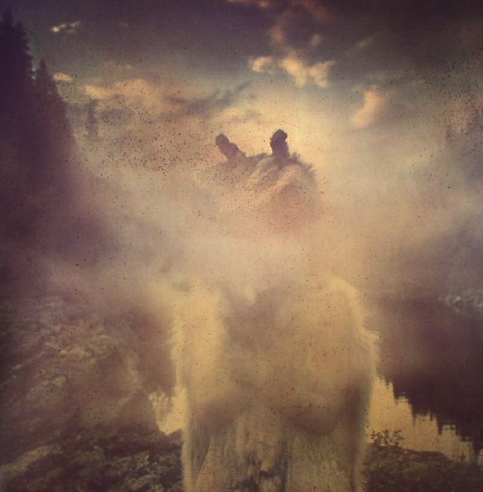 Soup The Beauty Of Our Youth