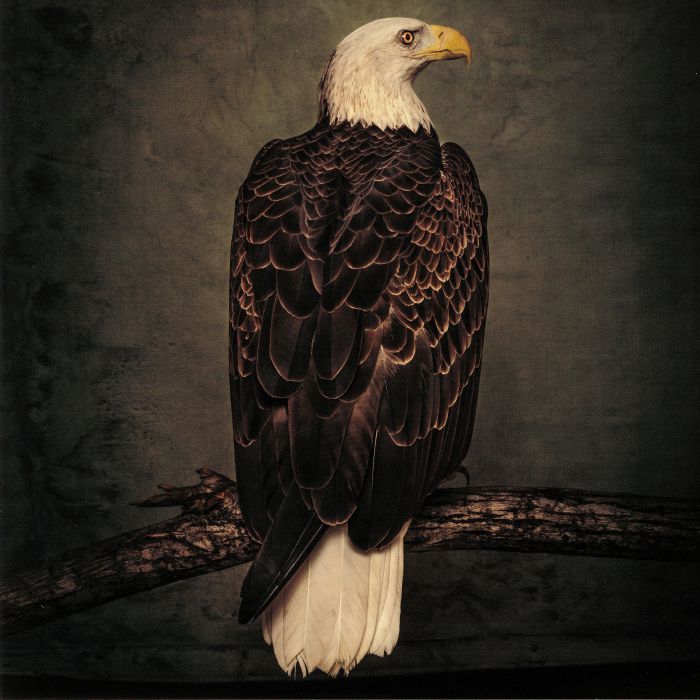 Clutch – Book Of Bad Decisions vinyl cover