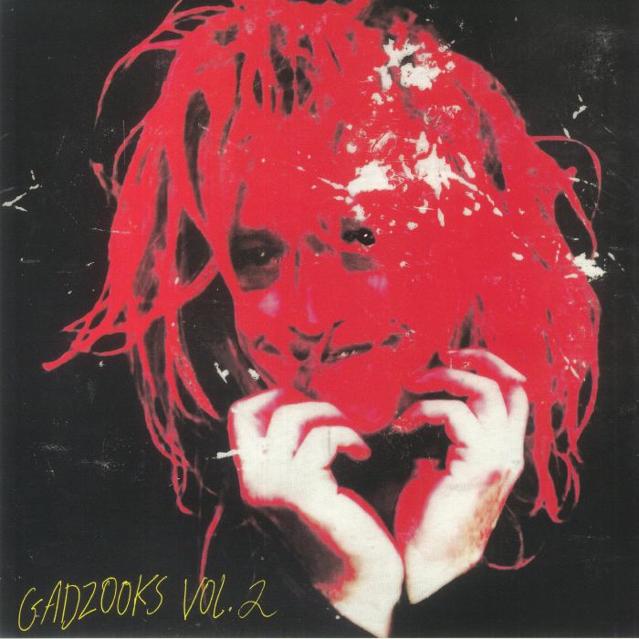 Caleb Landry Jones – Gadzooks Vol 2 vinyl cover