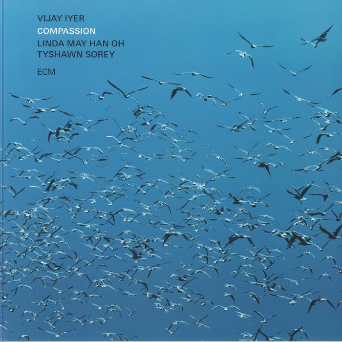 Vijay Iyer Vinyl