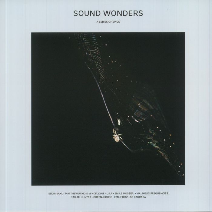 Various Artists Sound Wonders