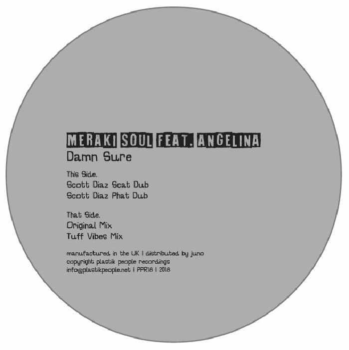 Meraki Soul | Angelina ( | Scott Diaz and Tuff Vibes Mixes) – Damn Sure vinyl cover