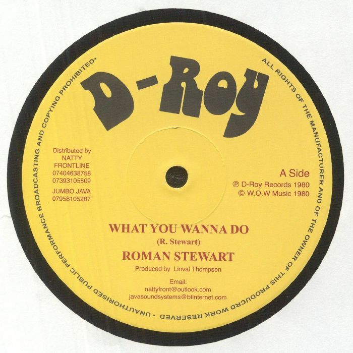 Roman Stewart | Revolutionaries What You Wanna Do