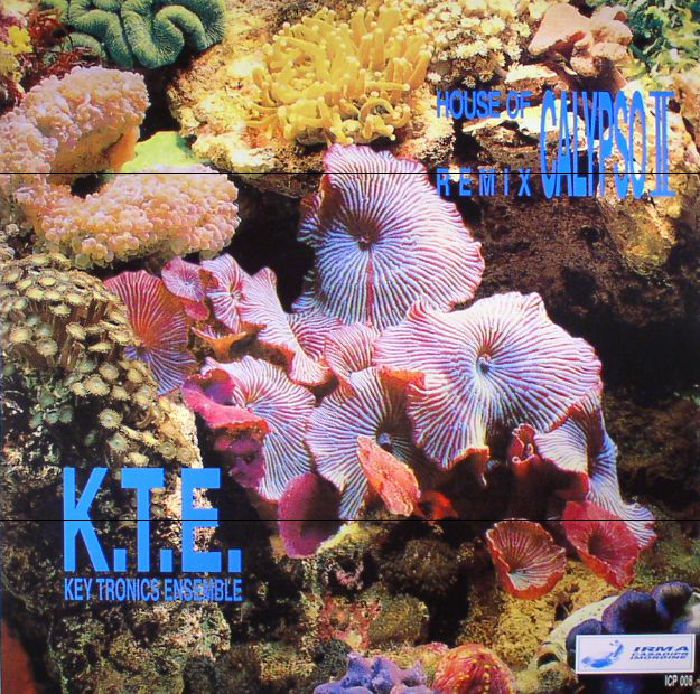 Key Tronics Ensemble – House Of Calypso II Remix vinyl cover