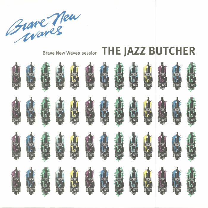 The Jazz Butcher Brave New Waves Session
