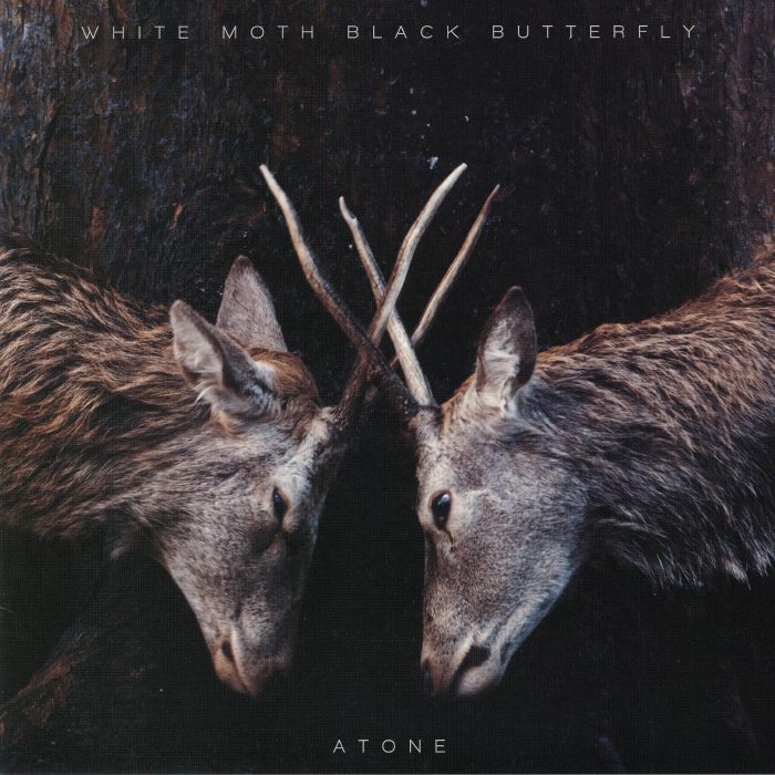 White Moth Black Butterfly Atone