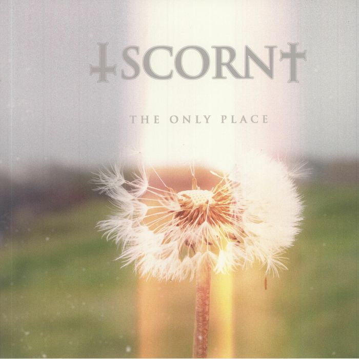Scorn The Only Place