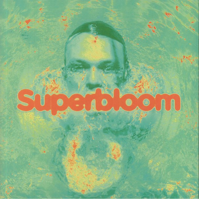 Ashton Irwin Superbloom