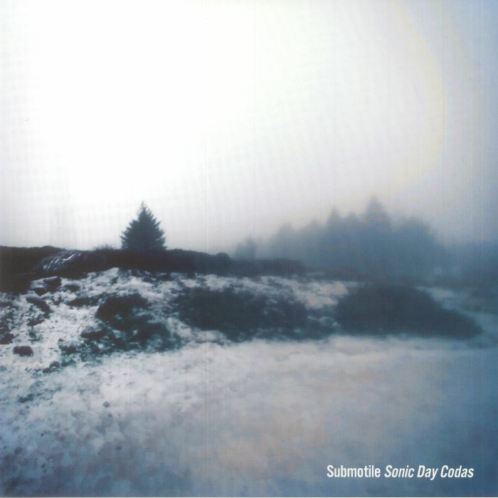 Submotile Sonic Day Codas