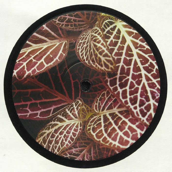 Peculiar Plants PP 001