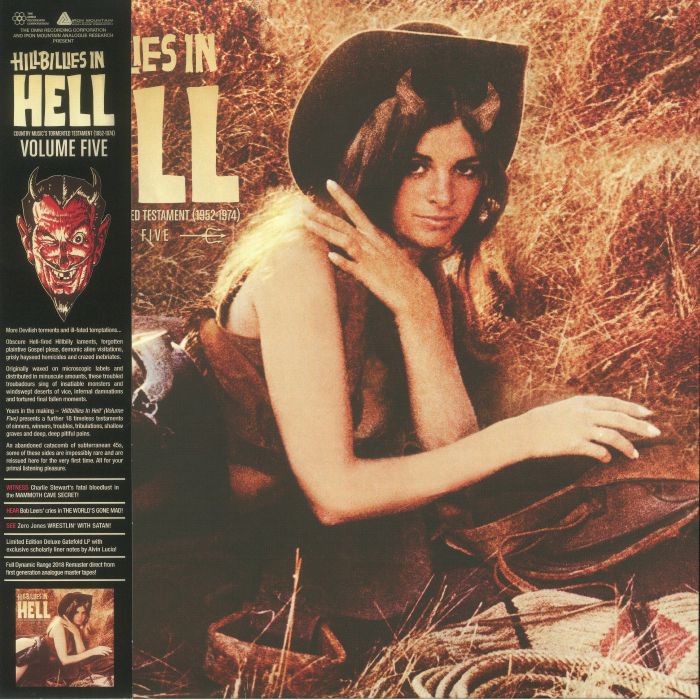 Various Artists Hillbillies In Hell Vol 5: Country Musics Tormented Testament 1952 1974