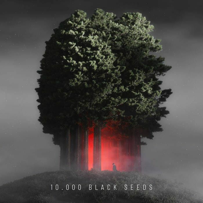 Bjorn Torwellen 10 000 Black Seeds