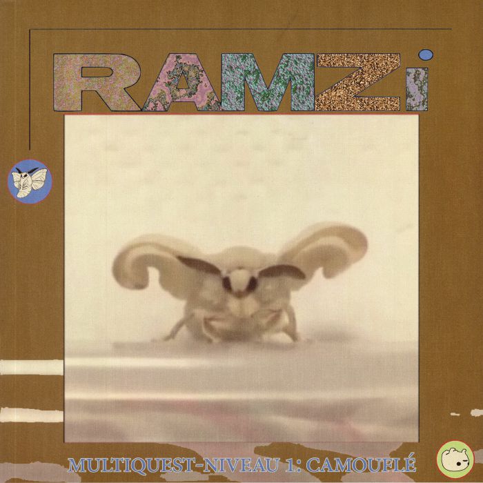 Ramzi Multiquest Niveau 1: Camoufle