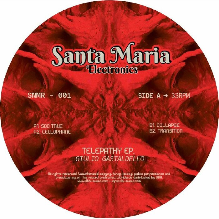 Santa Maria Electronics Vinyl