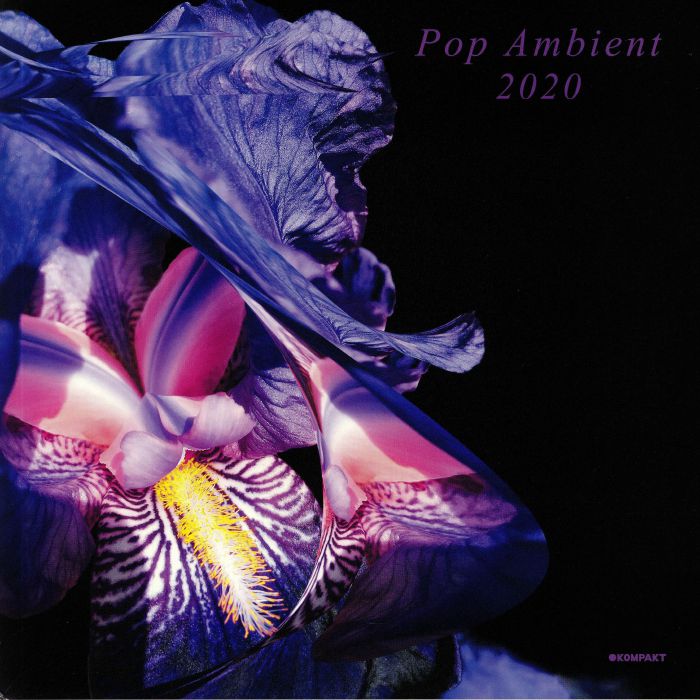 Various Artists Pop Ambient 2020