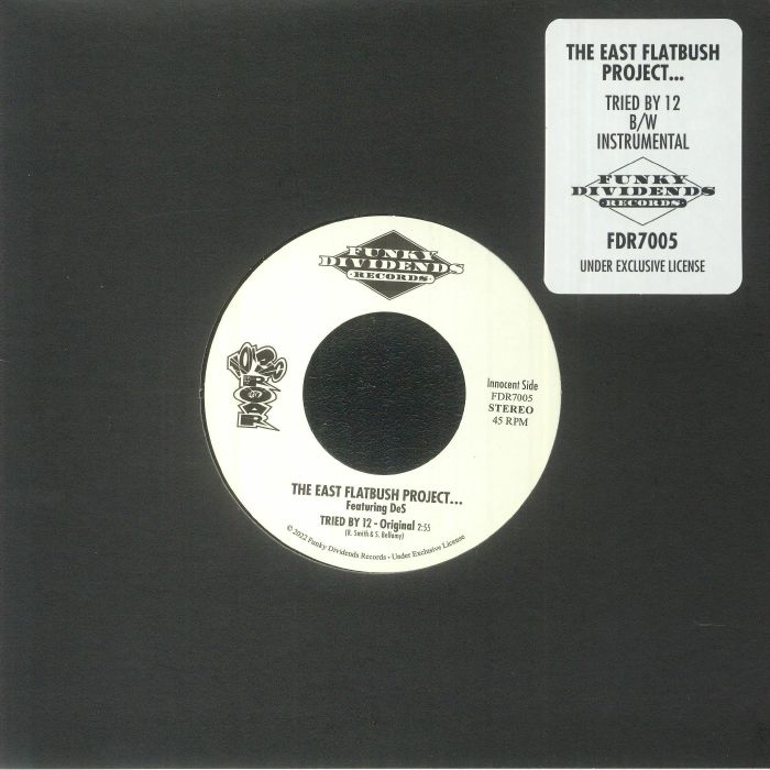The East Flatbush Project – Tried By 12 vinyl cover
